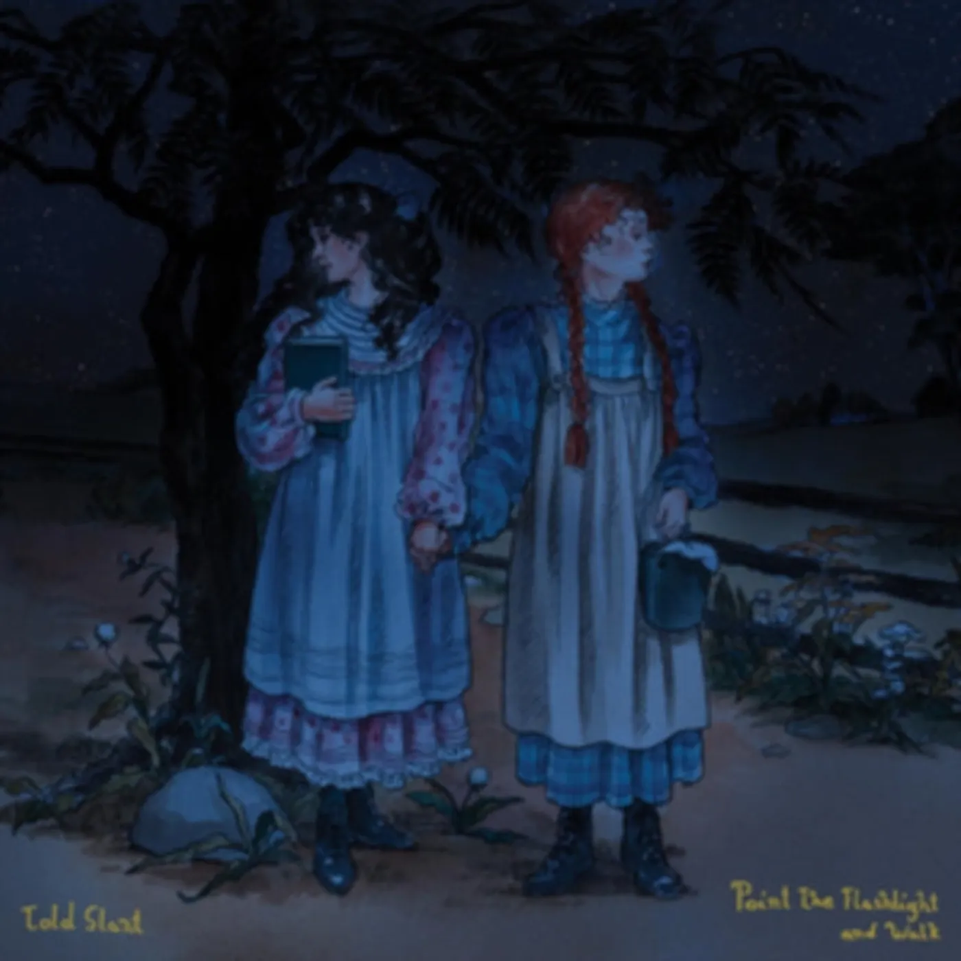 Told Slant LP Vinyl Record - Point The Flashlight And Walk (Sea Blue Vinyl)