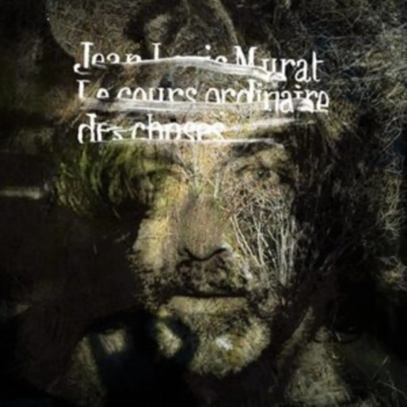 Jean-Louis Murat LP Vinyl Record - Le Cours Ordinaire Des Choses