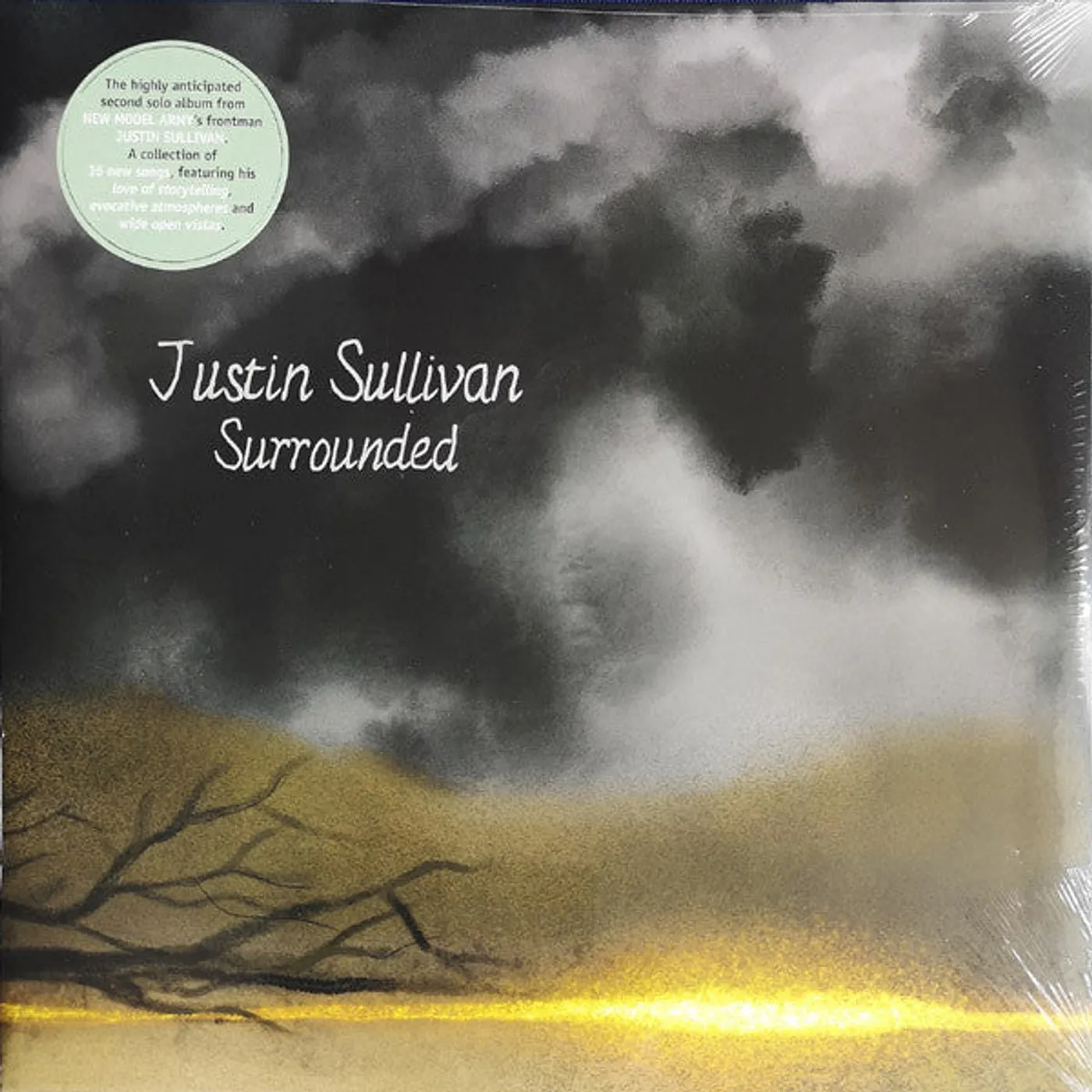 Justin Sullivan LP Vinyl Record - Surrounded