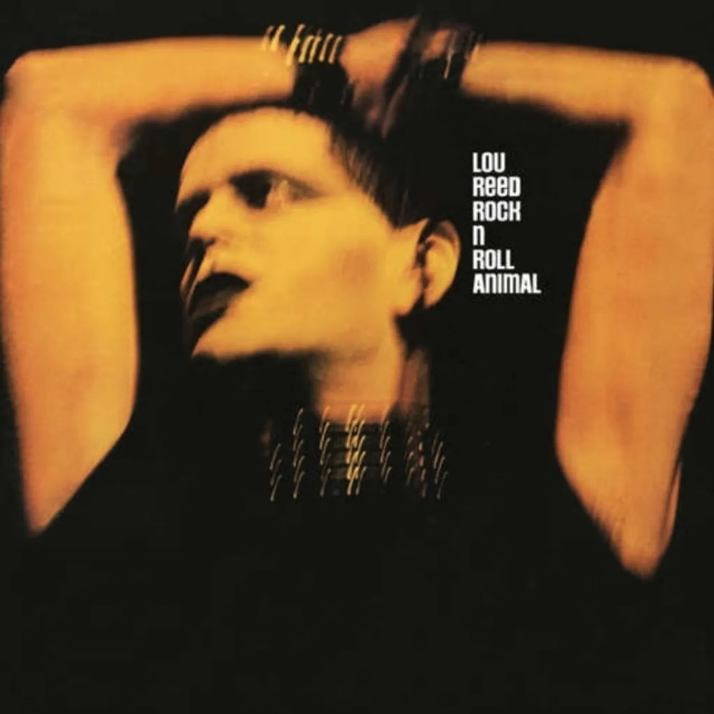 Lou Reed LP Vinyl Record - Rock N Roll Animal
