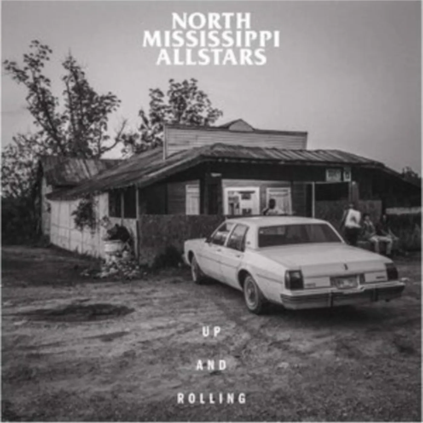 North Mississippi Allstars LP Vinyl Record - Up And Rolling (Sea Glass/Smoke Vinyl)