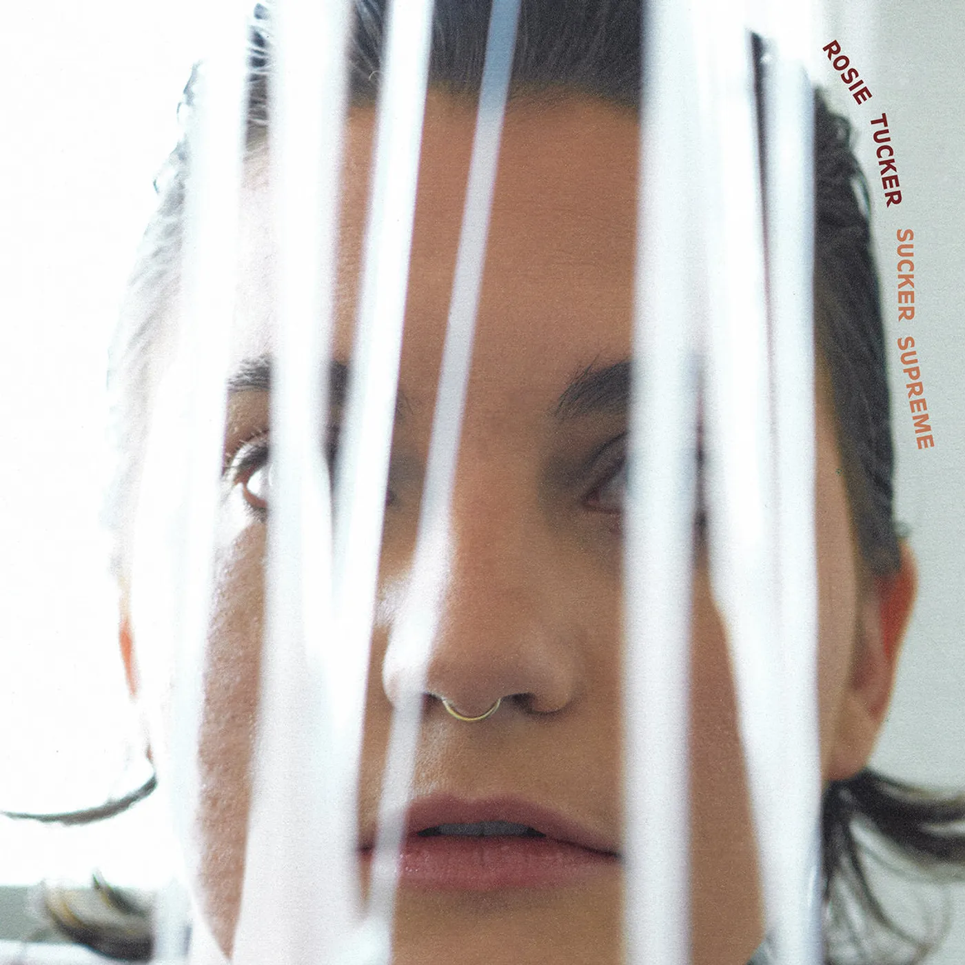 Rosie Tucker LP Vinyl Record - Sucker Supreme