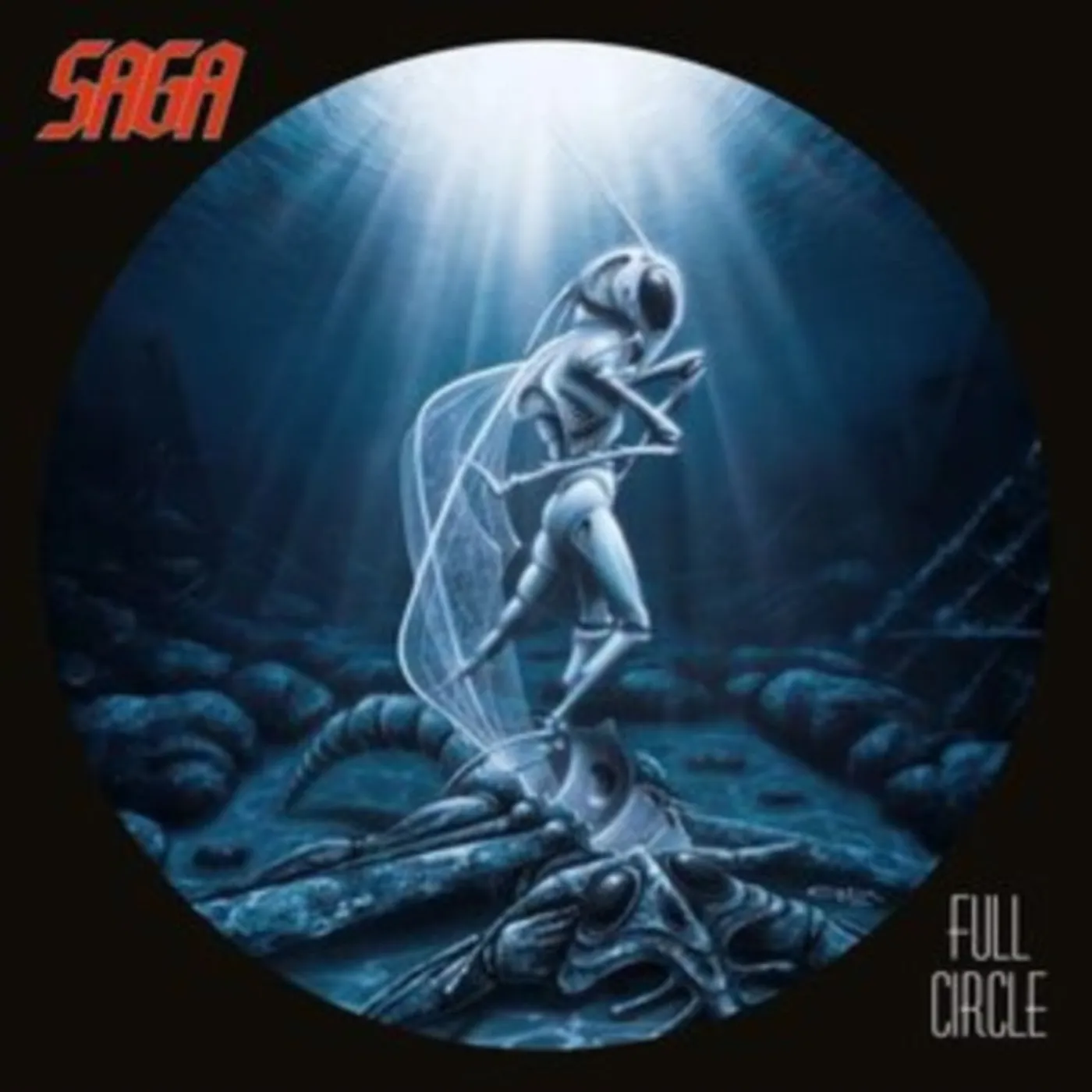 Saga LP Vinyl Record - Full Circle