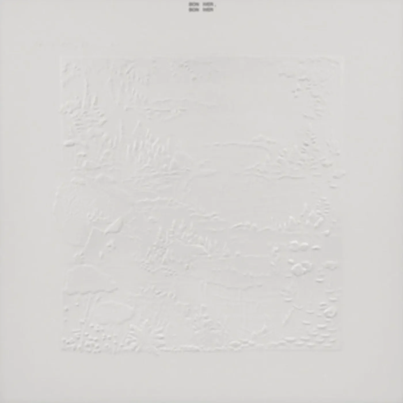 Bon Iver LP Vinyl Record - Bon Iver. Bon Iver (10 th Anniversary Edition)