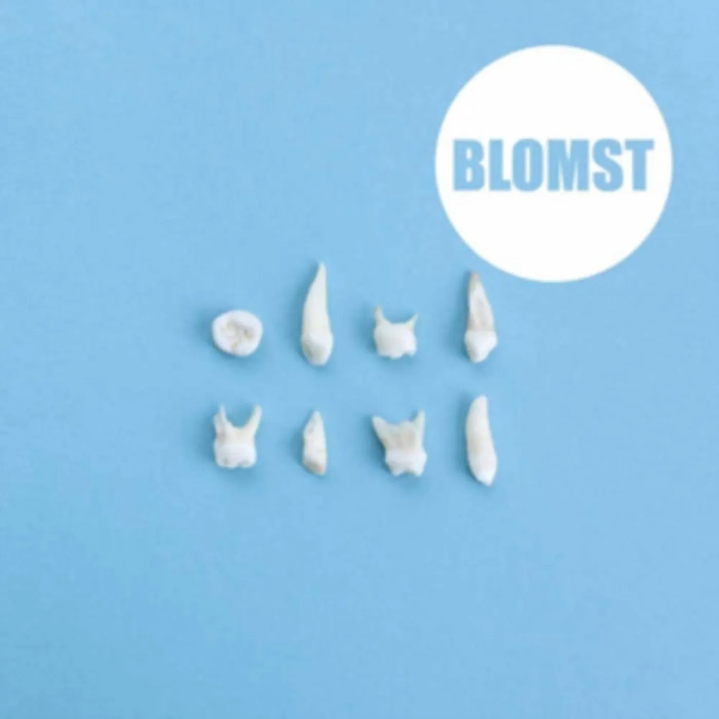 Blomst CD - Blomst
