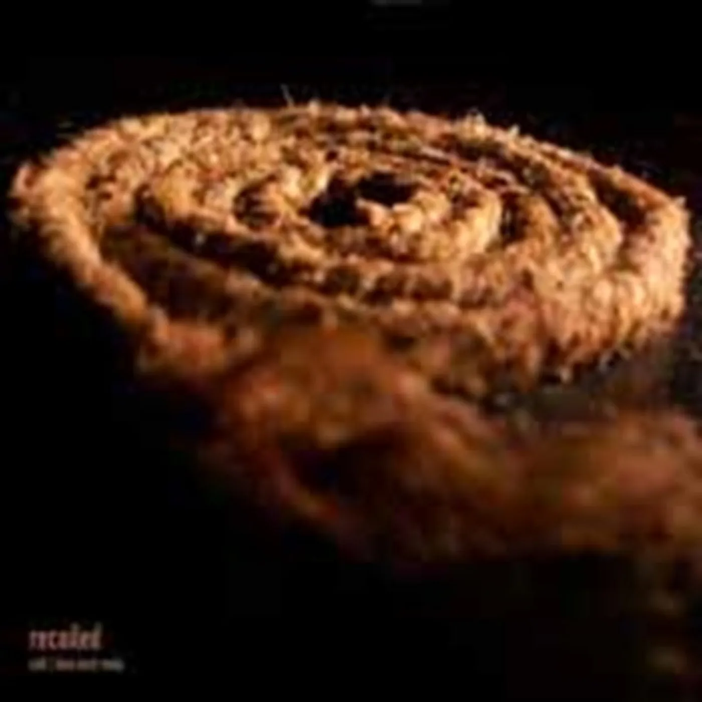 Coil / Nine Inch Nails CD - Recoiled