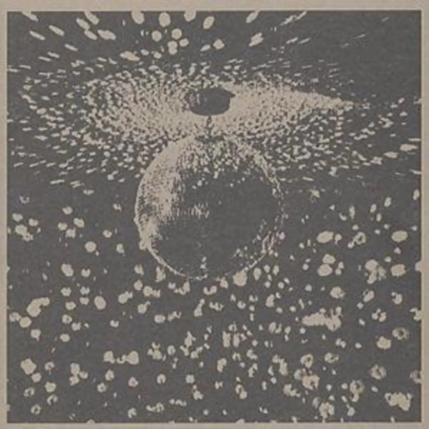 Neil Young CD - Mirror Ball
