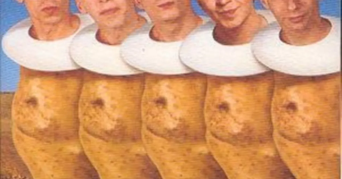 Devo CD - Hot Potatoes - Best Of Devo