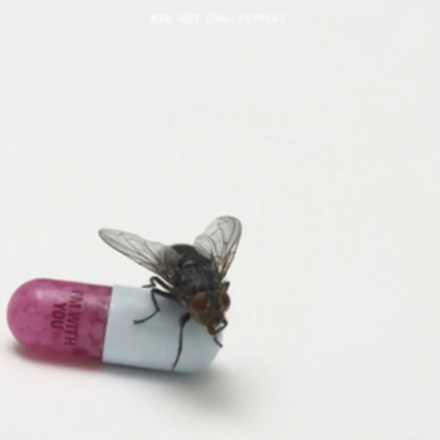 Red Hot Chili Peppers CD - I'm With You
