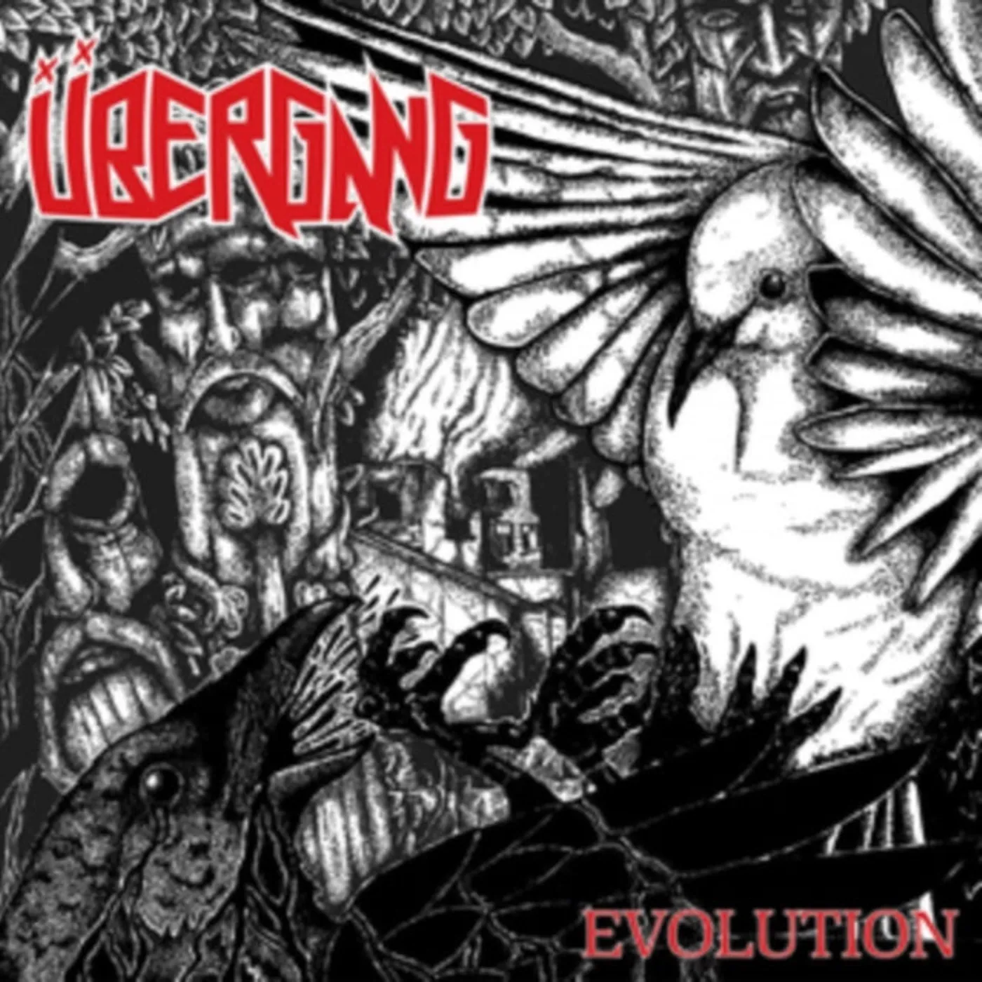 Übergang LP - Evolution (Vinyl)