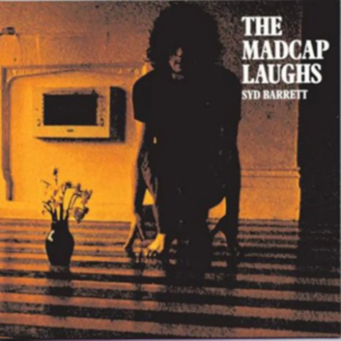 Syd Barrett CD - The Madcap Laughs