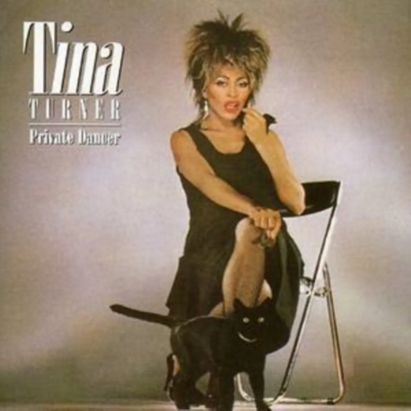 Tina Turner CD - Private Dancer