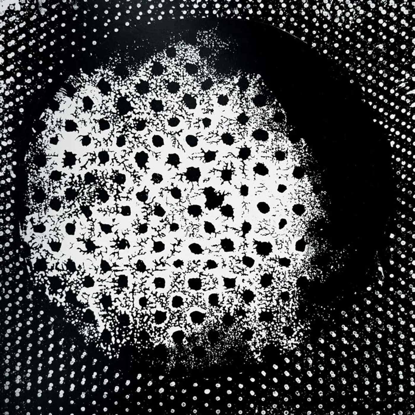 Biosphere LP - Patashnik [Reissue] (Vinyl)