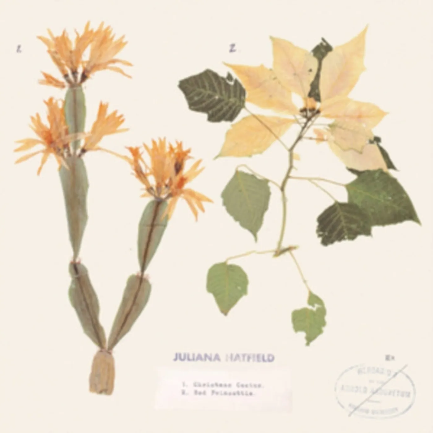 Juliana Hatfield LP Vinyl Record - Christmas Cactus / Red Poinsettia (Coloured Vinyl) (Black Friday 20. 20. )