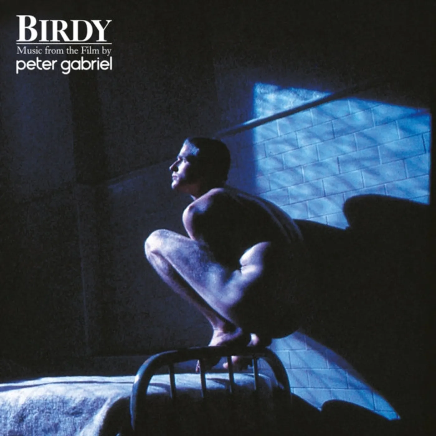 Peter Gabriel LP Vinyl Record - Birdy