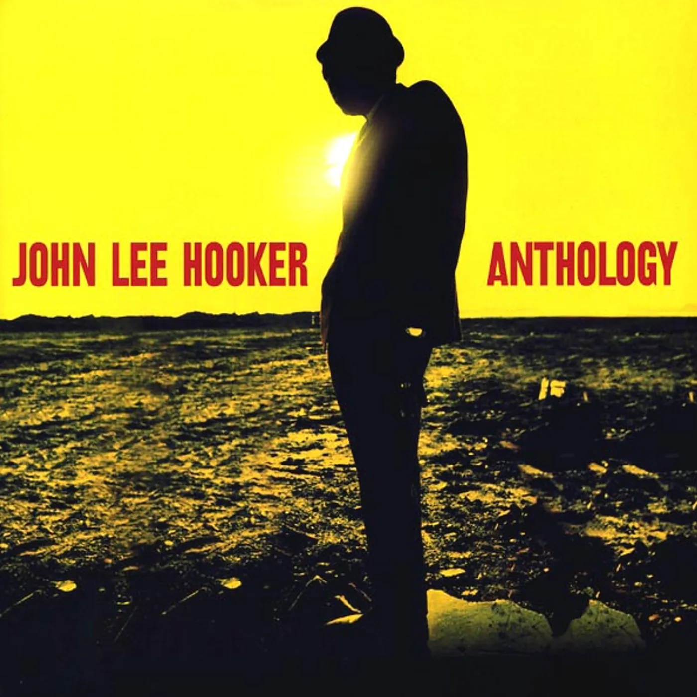 John Lee Hooker  LP -  Anthology (2xLP) (180g) (Vinyl)