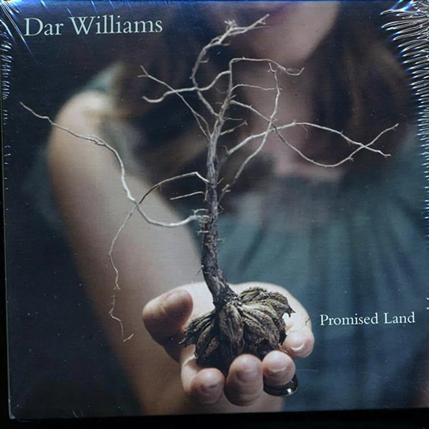 Dar Williams  CD -  Promised Land (deluxe mini LP slipsleeve edition)