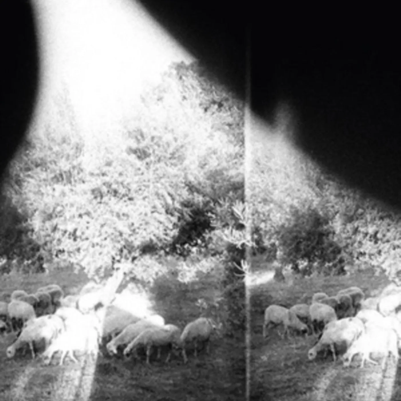 Godspeed You! Black Emperor LP Vinyl Record  Asunder Sweet And Other Distress