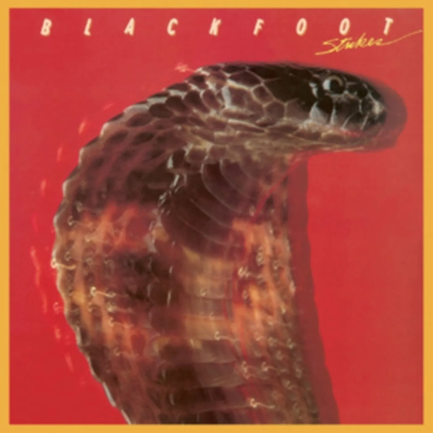 Blackfoot CD - Strikes