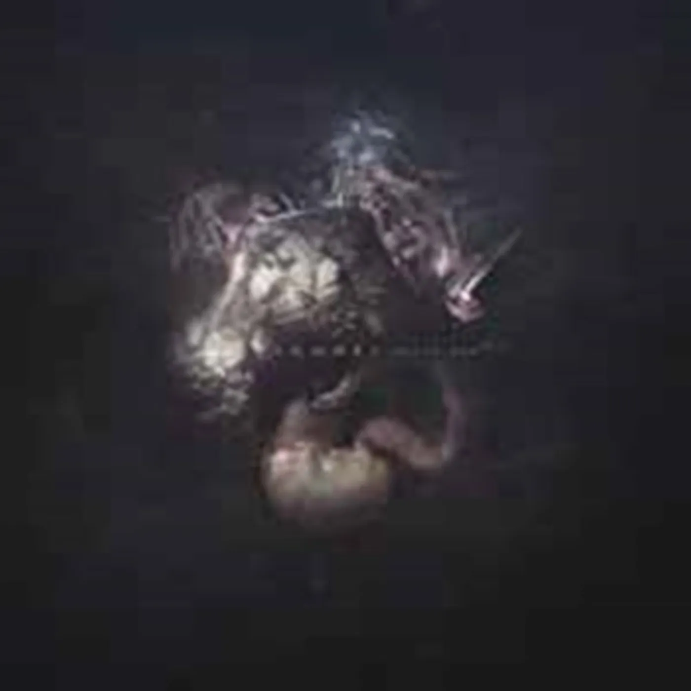 Code CD - Augur Nox
