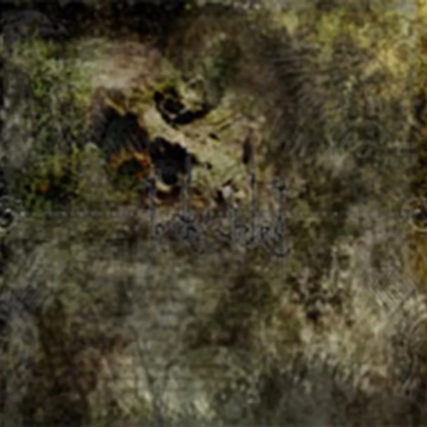 In Tha Umbra CD - Thus Open Thin Eerie Wings...