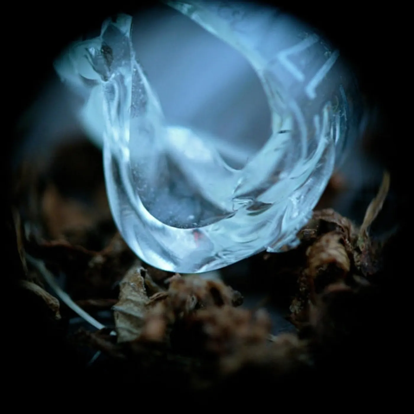 Ossicles CD - Mantelpiece
