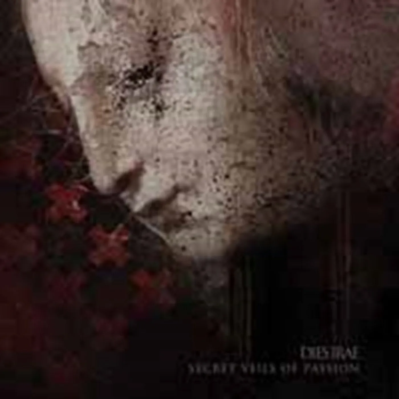 Dies Irae CD - Secret Veils Of Passion