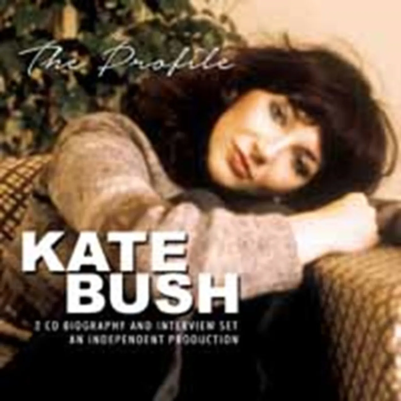 Kate Bush CD - The Profile (2cd)
