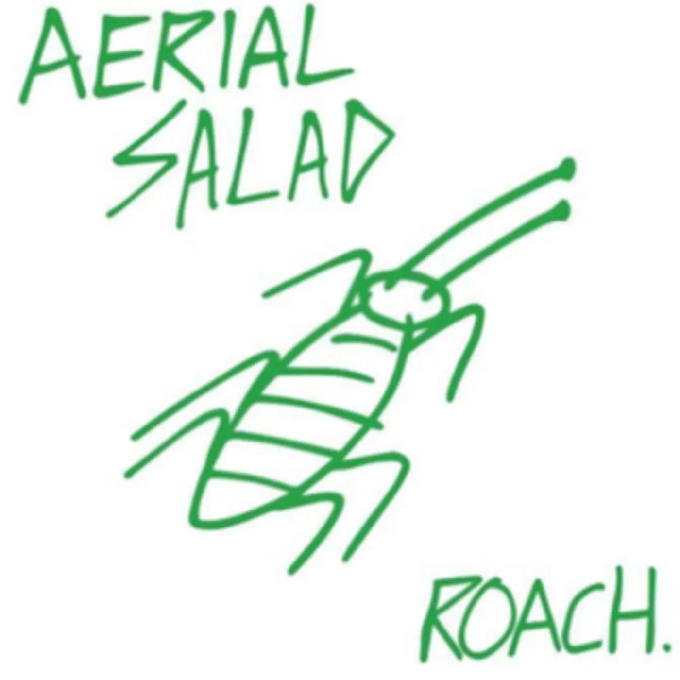 Aerial Salad CD - Roach