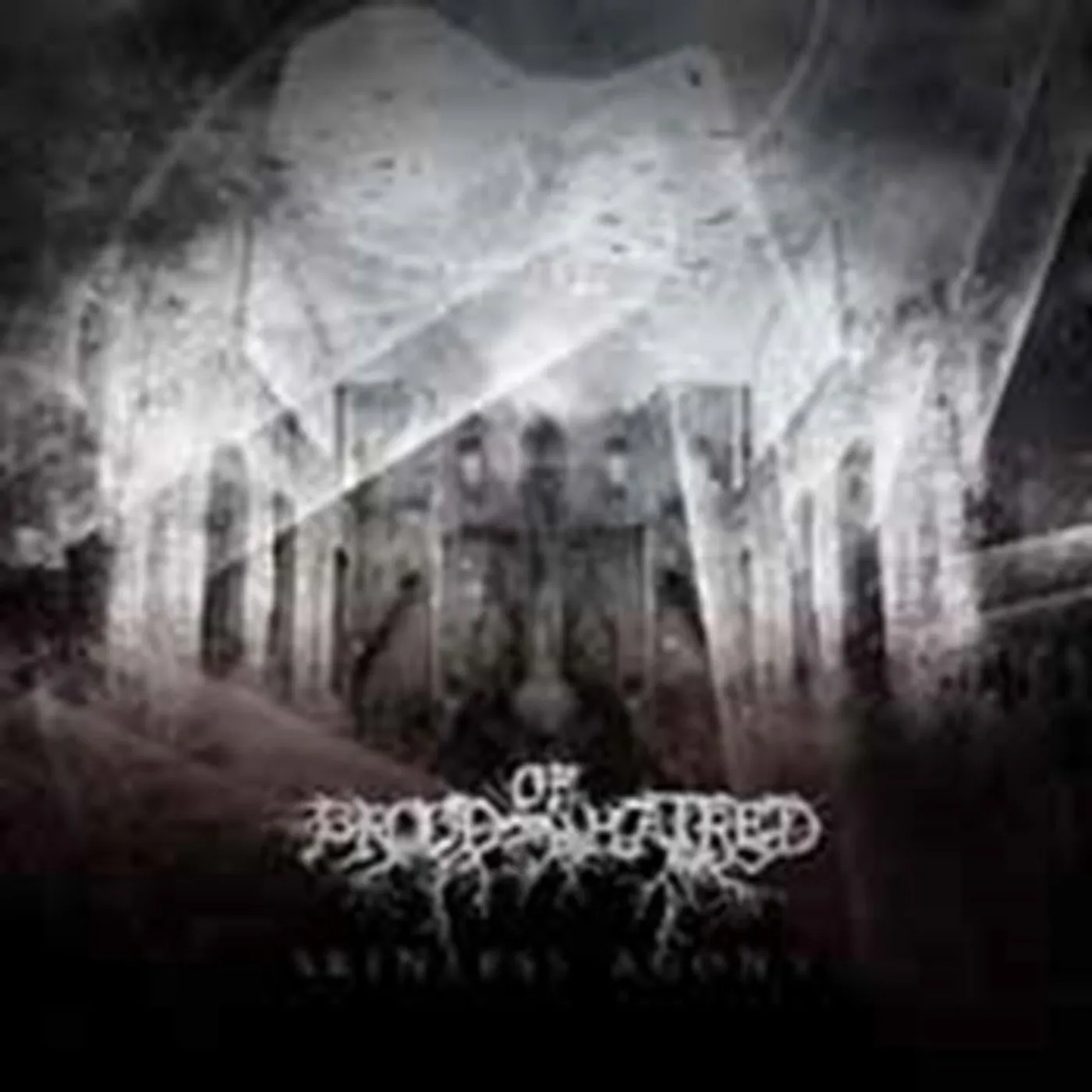 Brood Of Hatred CD - Skinless Agony