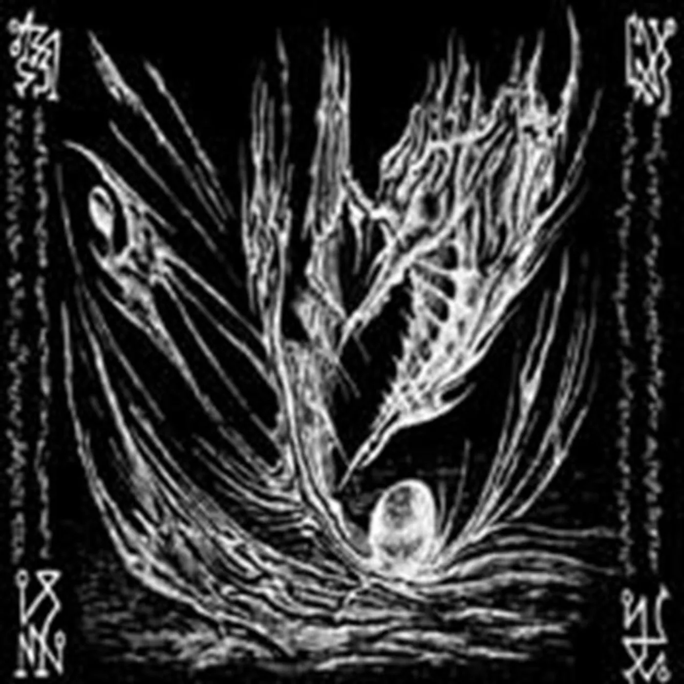 Profezia CD - Oracolo Suicida