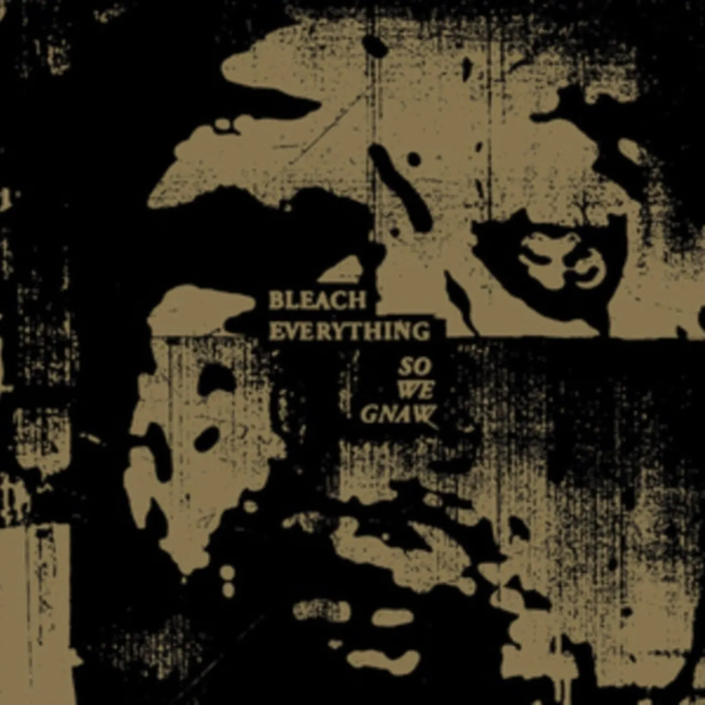 Bleach Everything CD - So We Gnaw