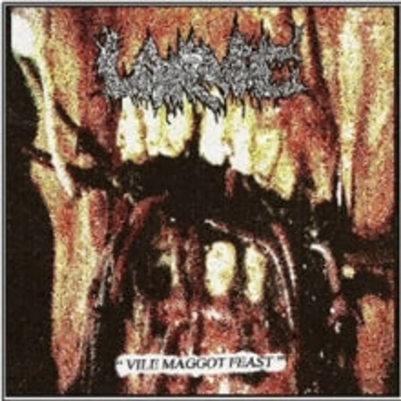 Larvae CD - Vile Maggot Feast