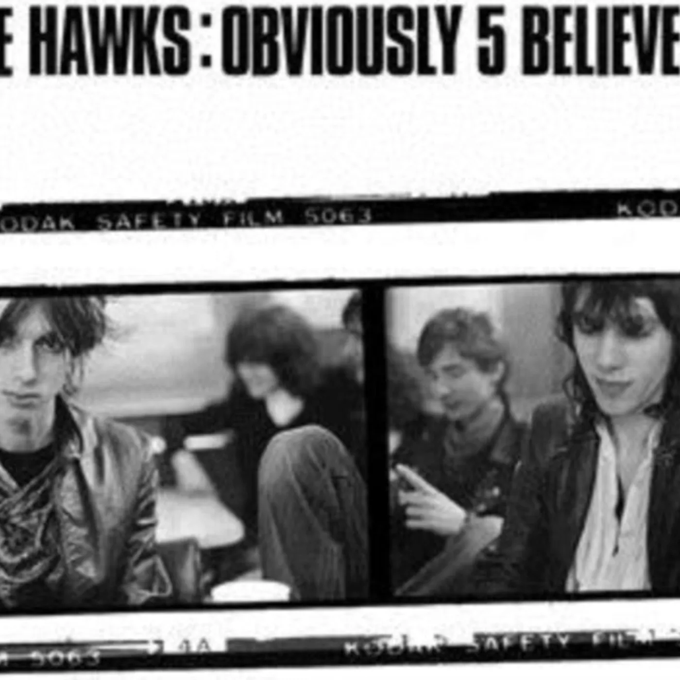 Hawks LP Vinyl Record - Obviously 5 Believers