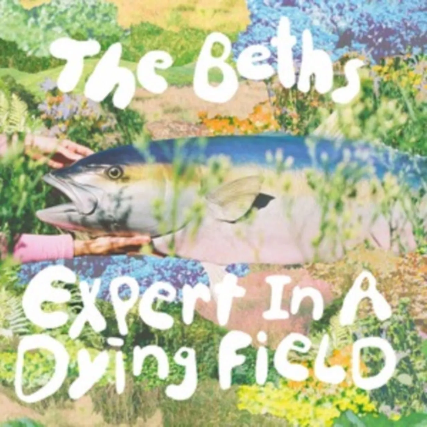 The Beths LP - Expert In A Dying Field (Vinyl)
