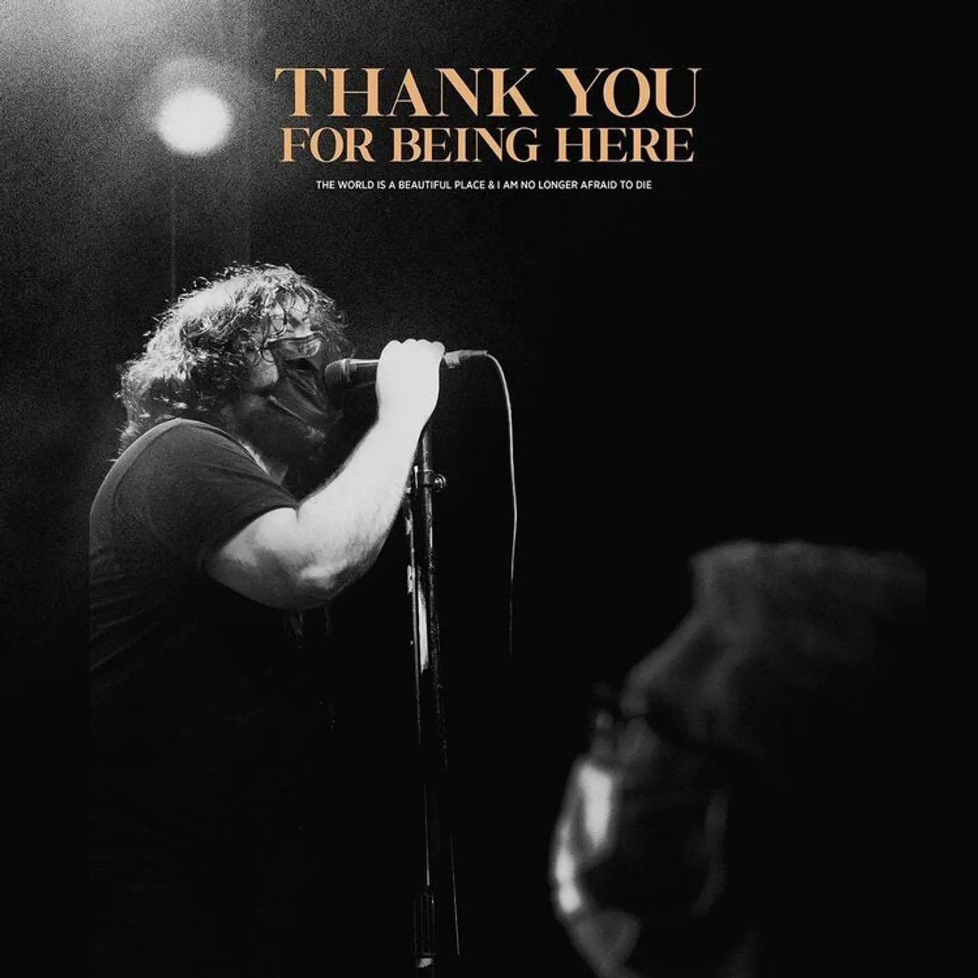 The World Is A Beautiful Place LP - Thankyou For Being Here (Live) (Vinyl)