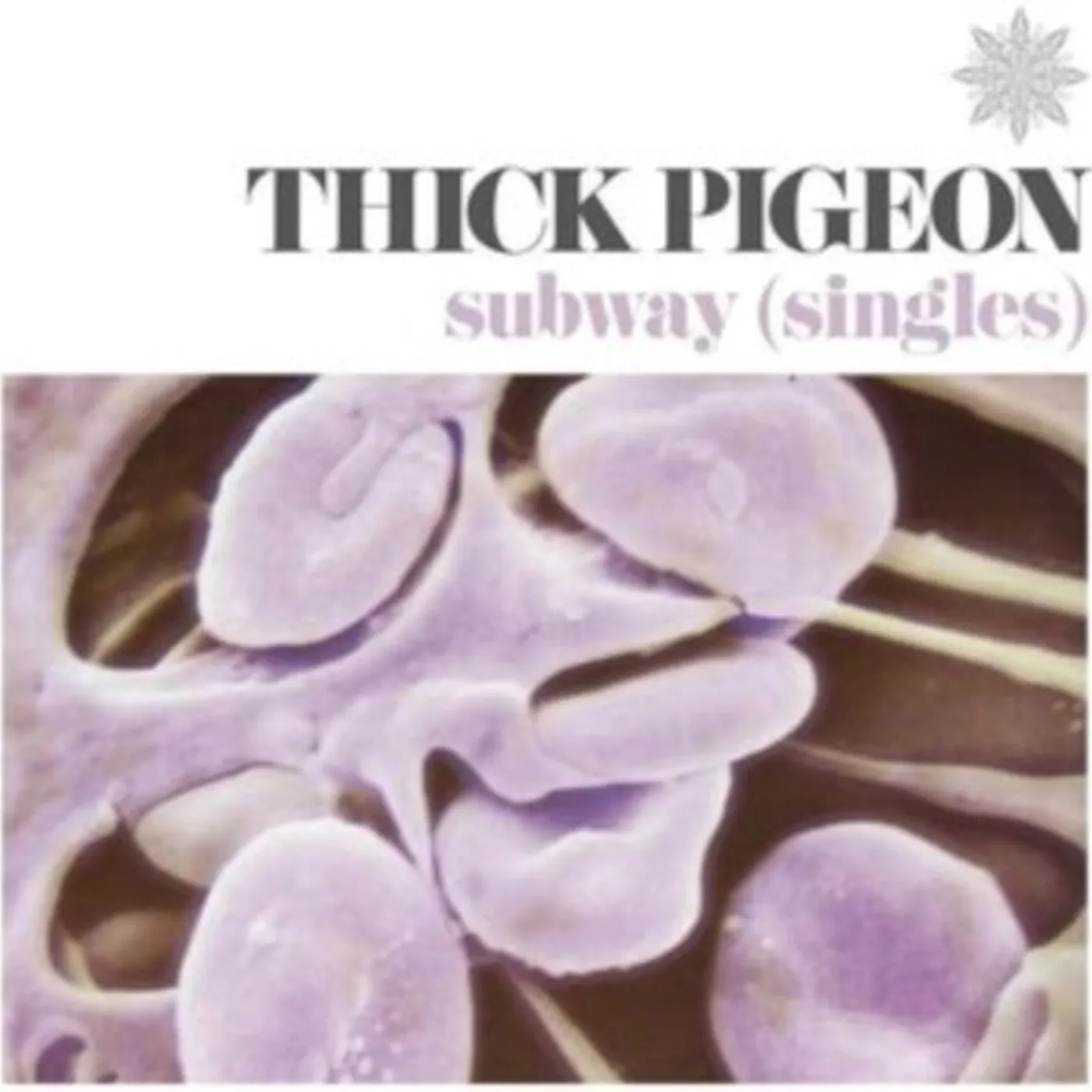 Thick Pigeon LP - Subway (Singles) (Vinyl)