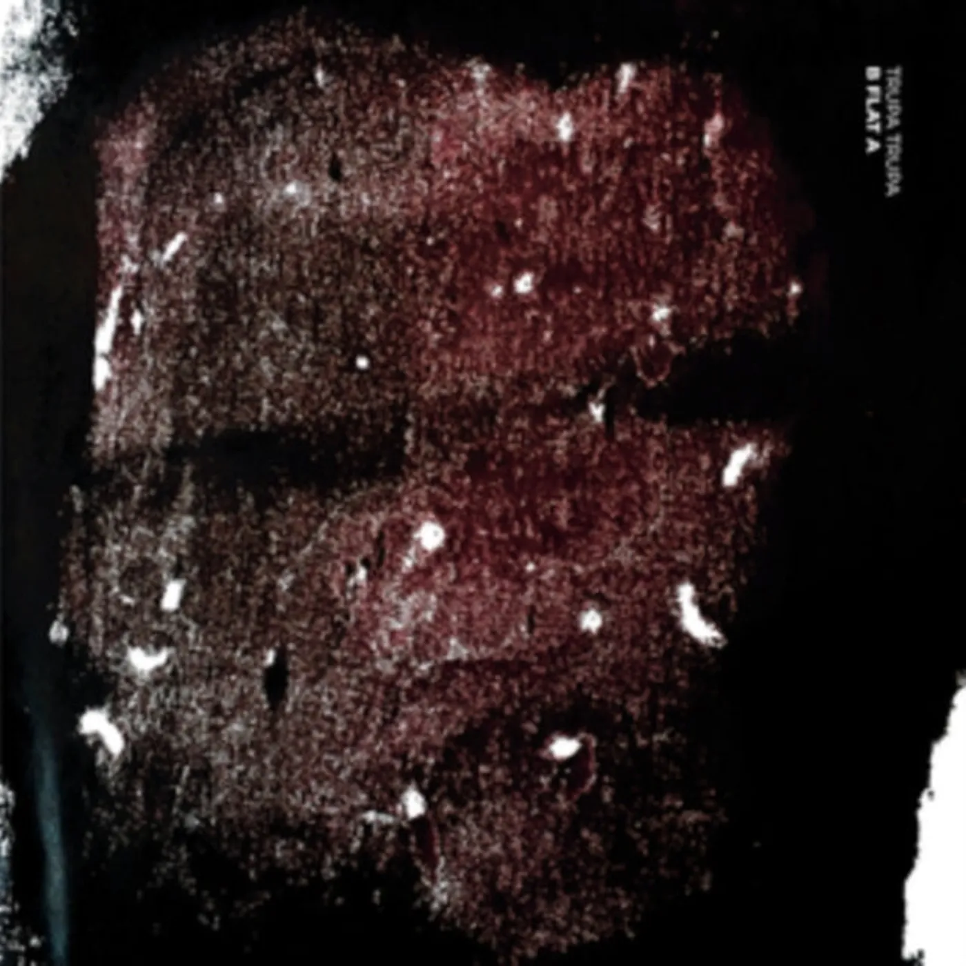 Trupa Trupa LP - B Flat A (Vinyl)