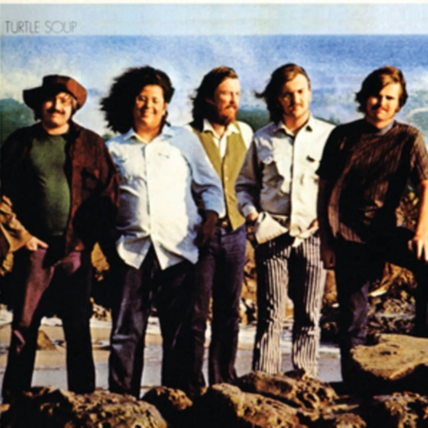 The Turtles LP - Turtle Soup (Vinyl)