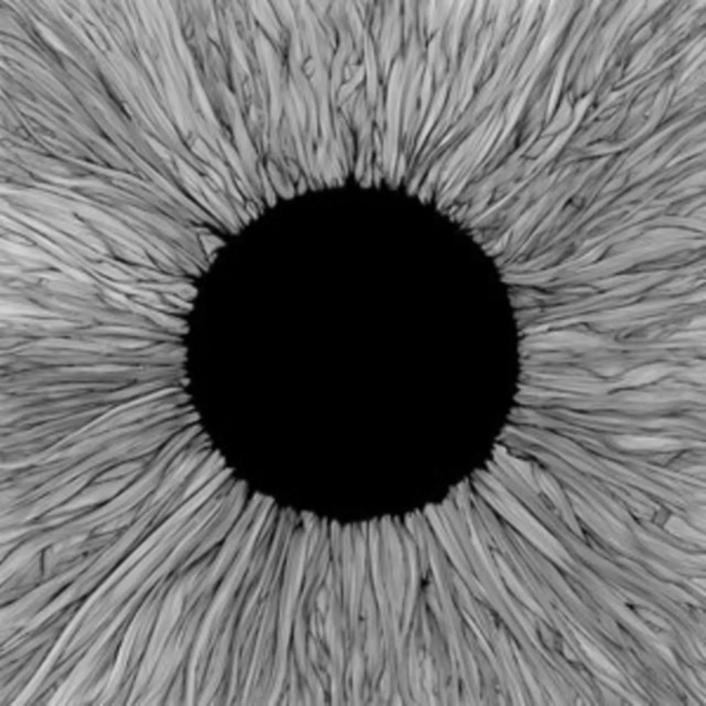 Vola LP - Witness (Vinyl)