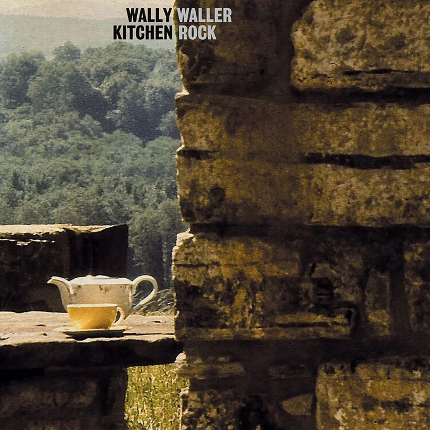 Wally Waller LP - Kitchen Rock (Vinyl)