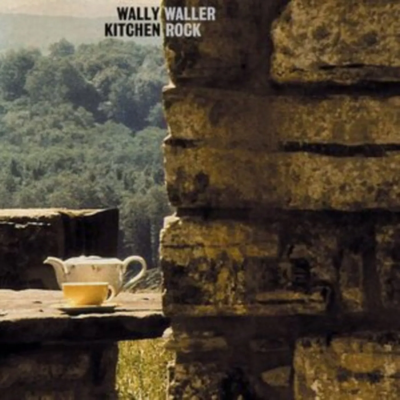 Wally Waller LP - Kitchen Rock (Vinyl)