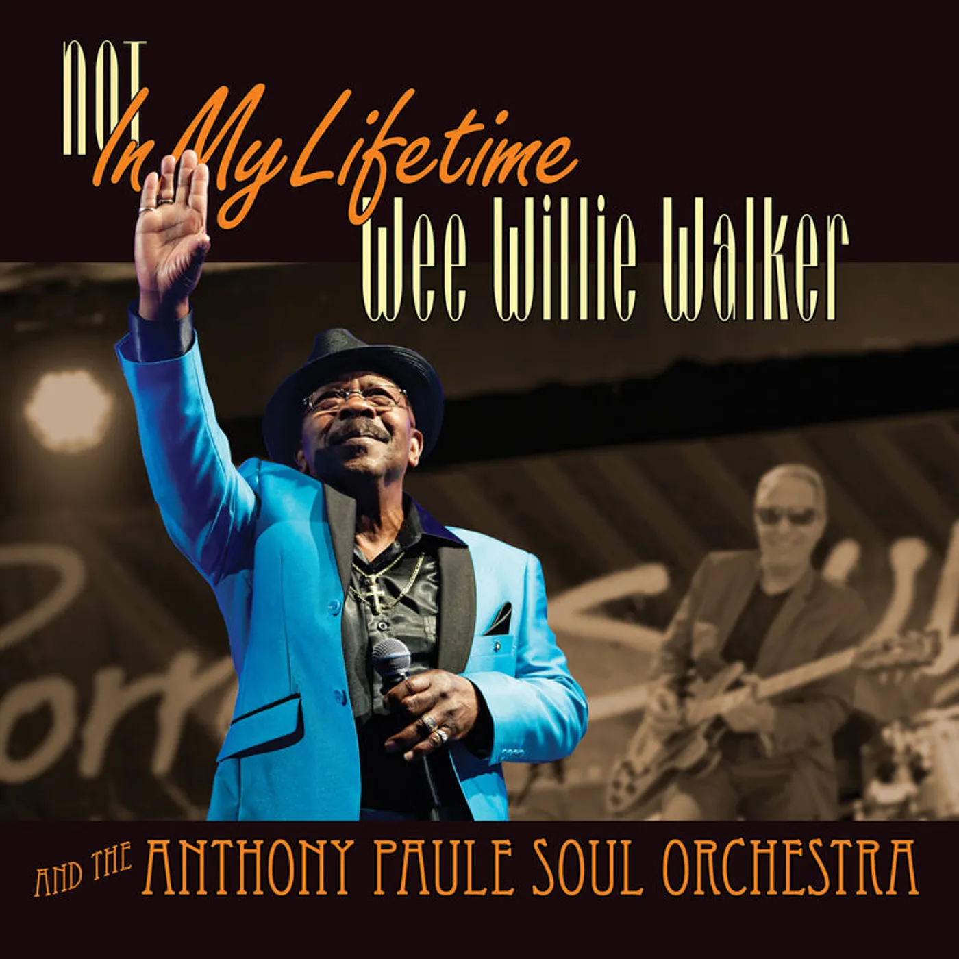Wee Willie Walker LP - Not In My Lifetime (Vinyl)