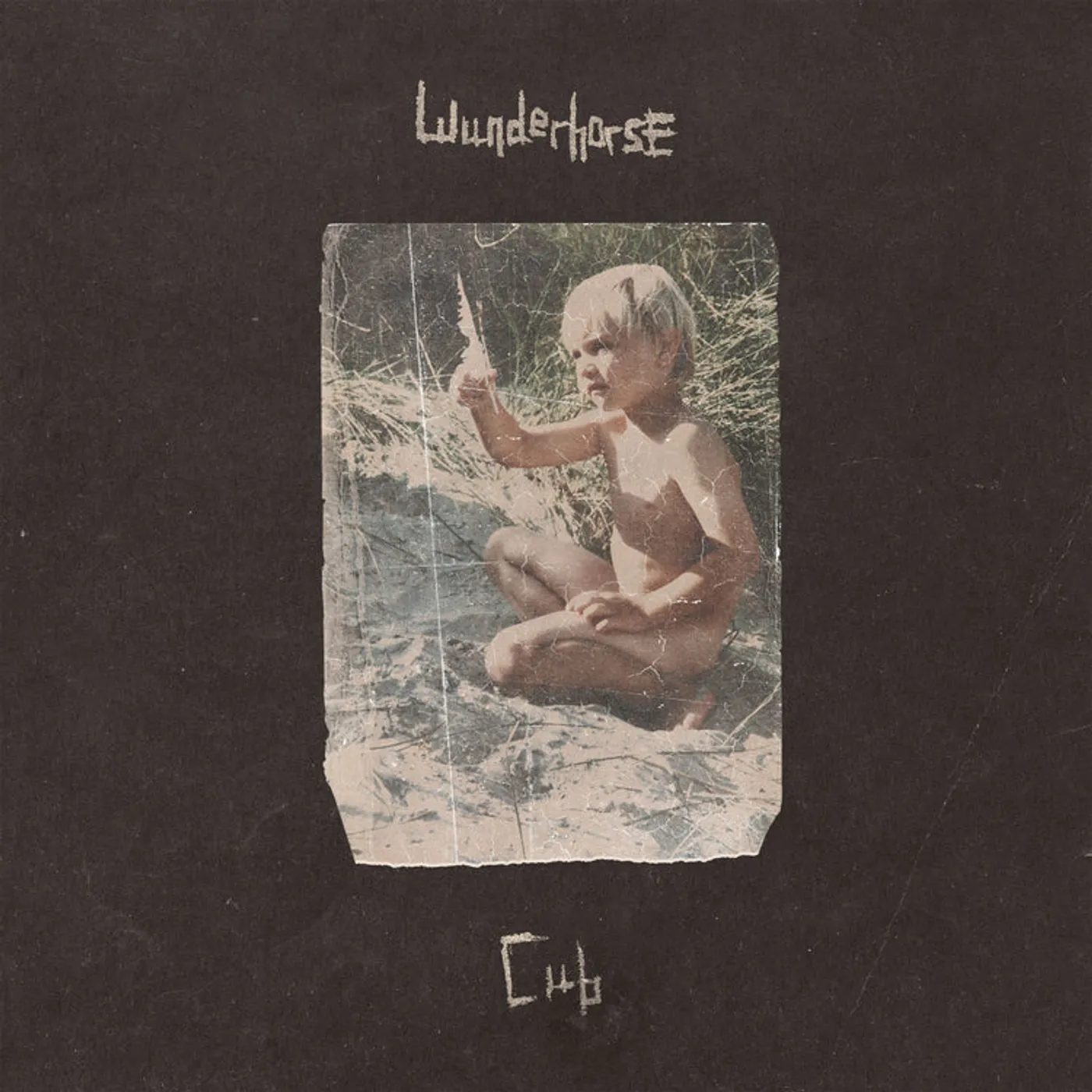 Wunderhorse LP - Cub (Vinyl)