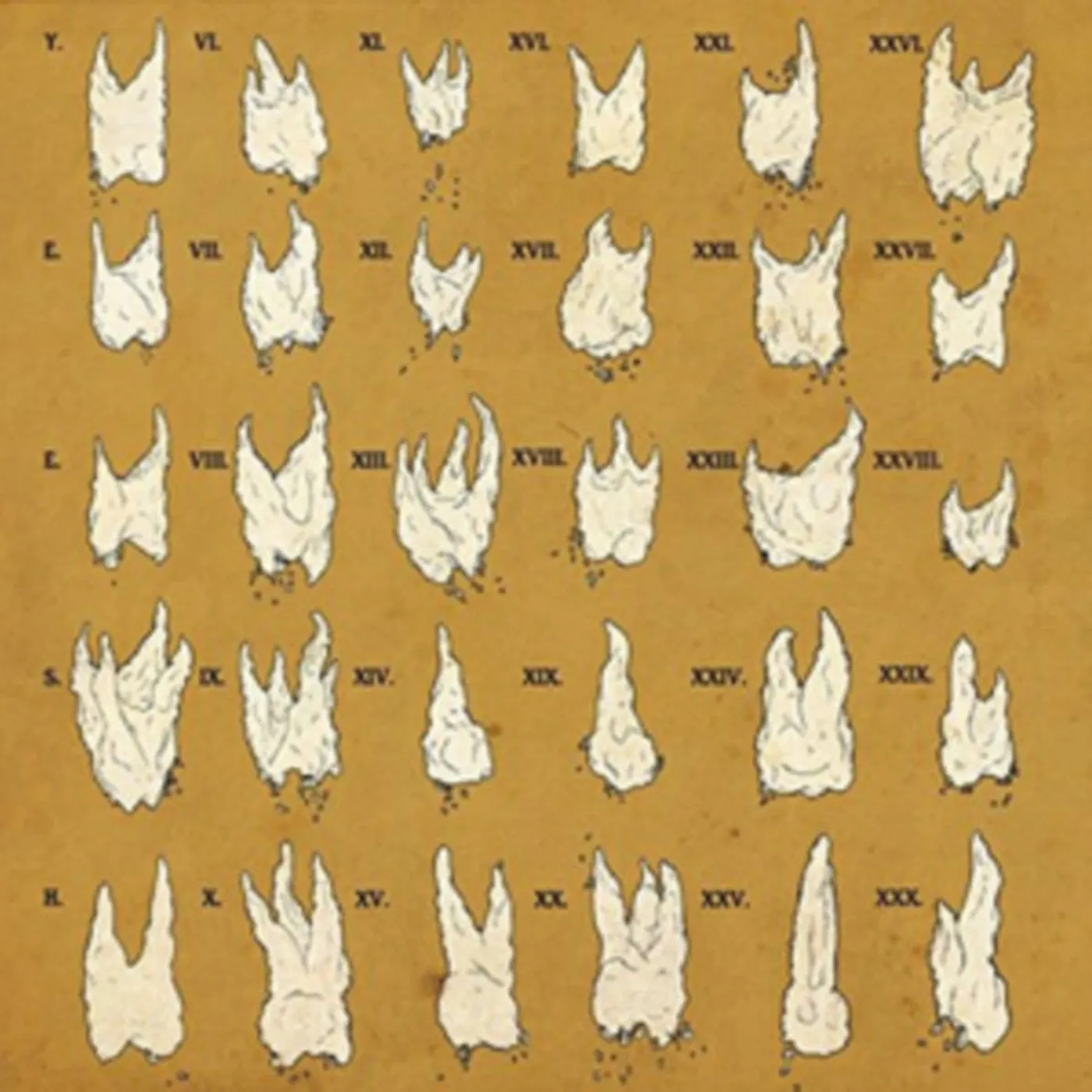 Yeesh LP - Confirmation Bias (Vinyl)