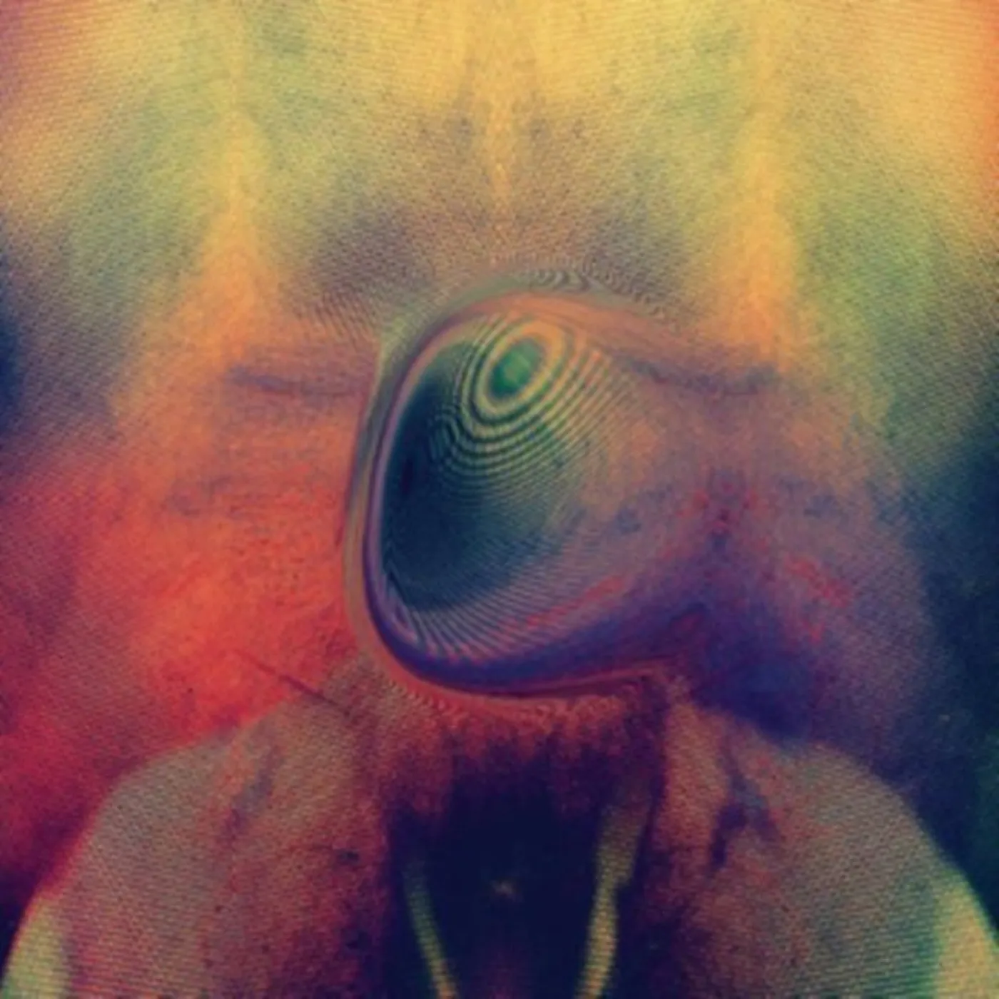 Young Magic LP - Melt (Vinyl)