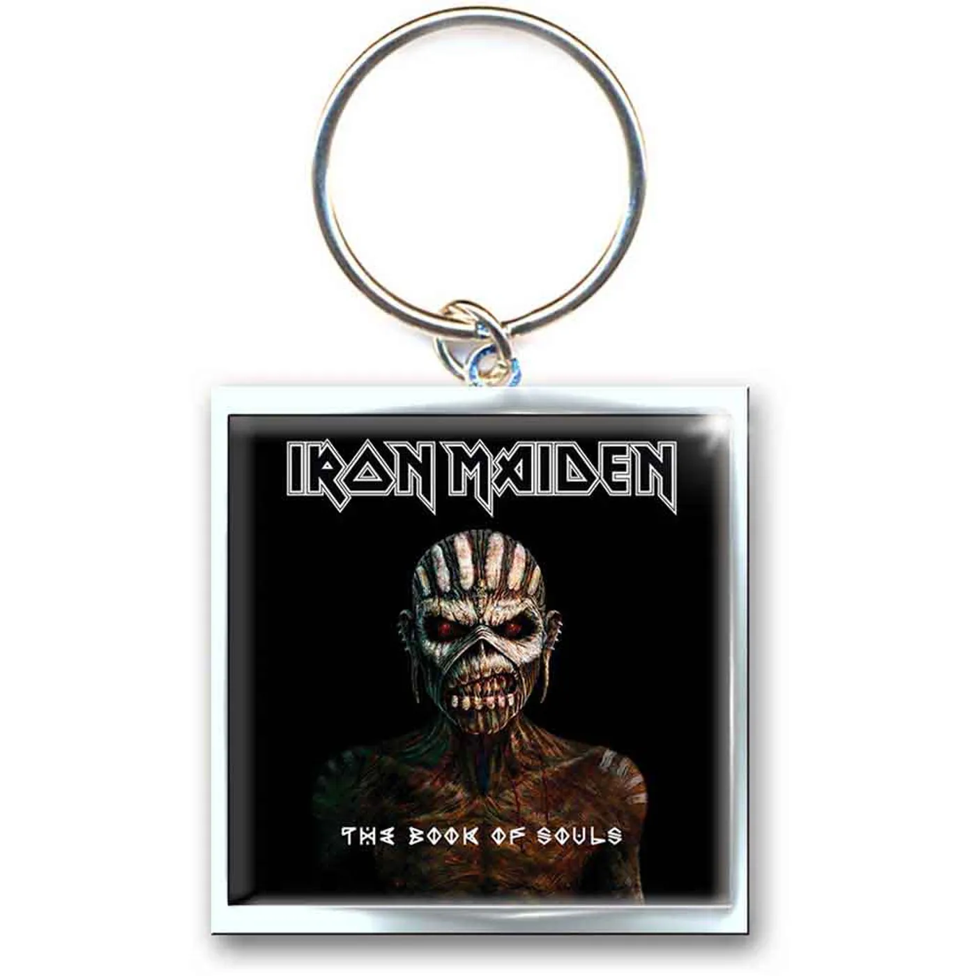 Iron Maiden  Standard Keychains - The Book Of Souls