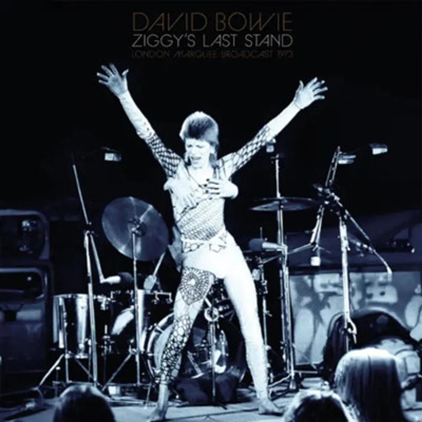 David Bowie LP - Ziggy'S Last Stand (Vinyl)