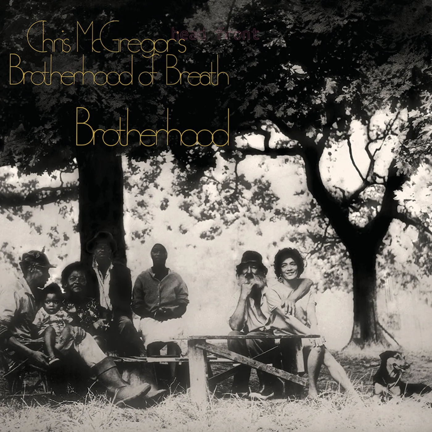 Chris Mcgregor'S Brotherhood Of Breath LP - Brotherhood (Yellow Vinyl)