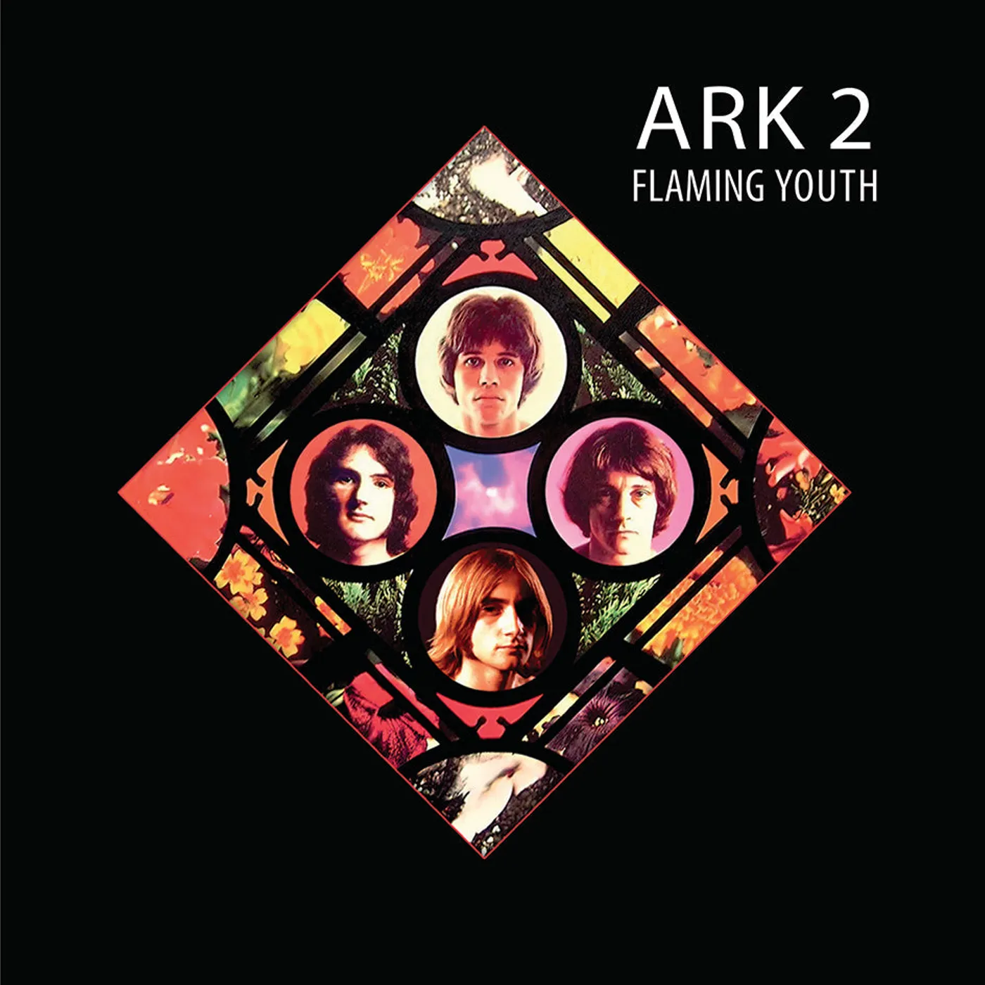 Flaming Youth LP - Ark 2 (Vinyl)